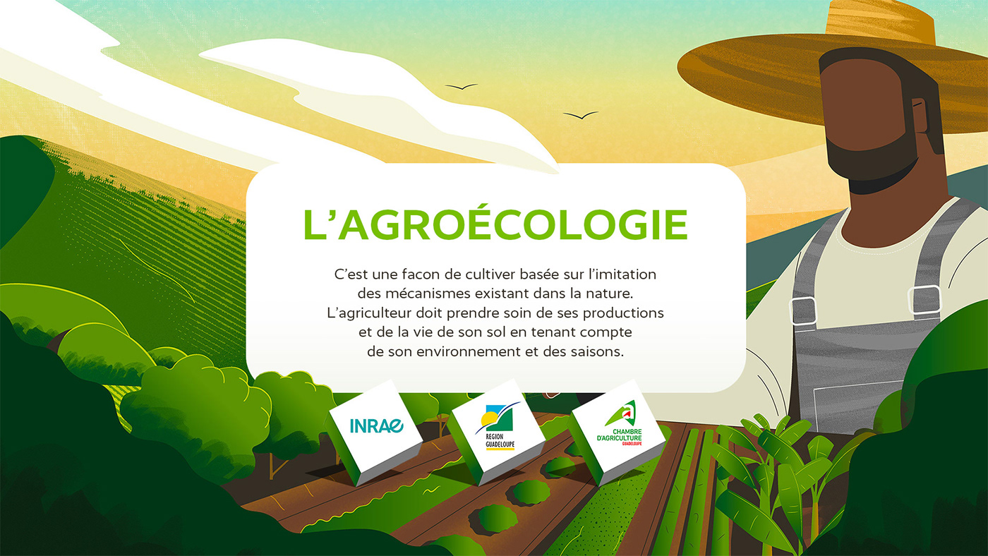 agreen startup agriculture agroécologie bio ecologie Guadeloupe Martinique motion design Pédagogie region guadeloupe