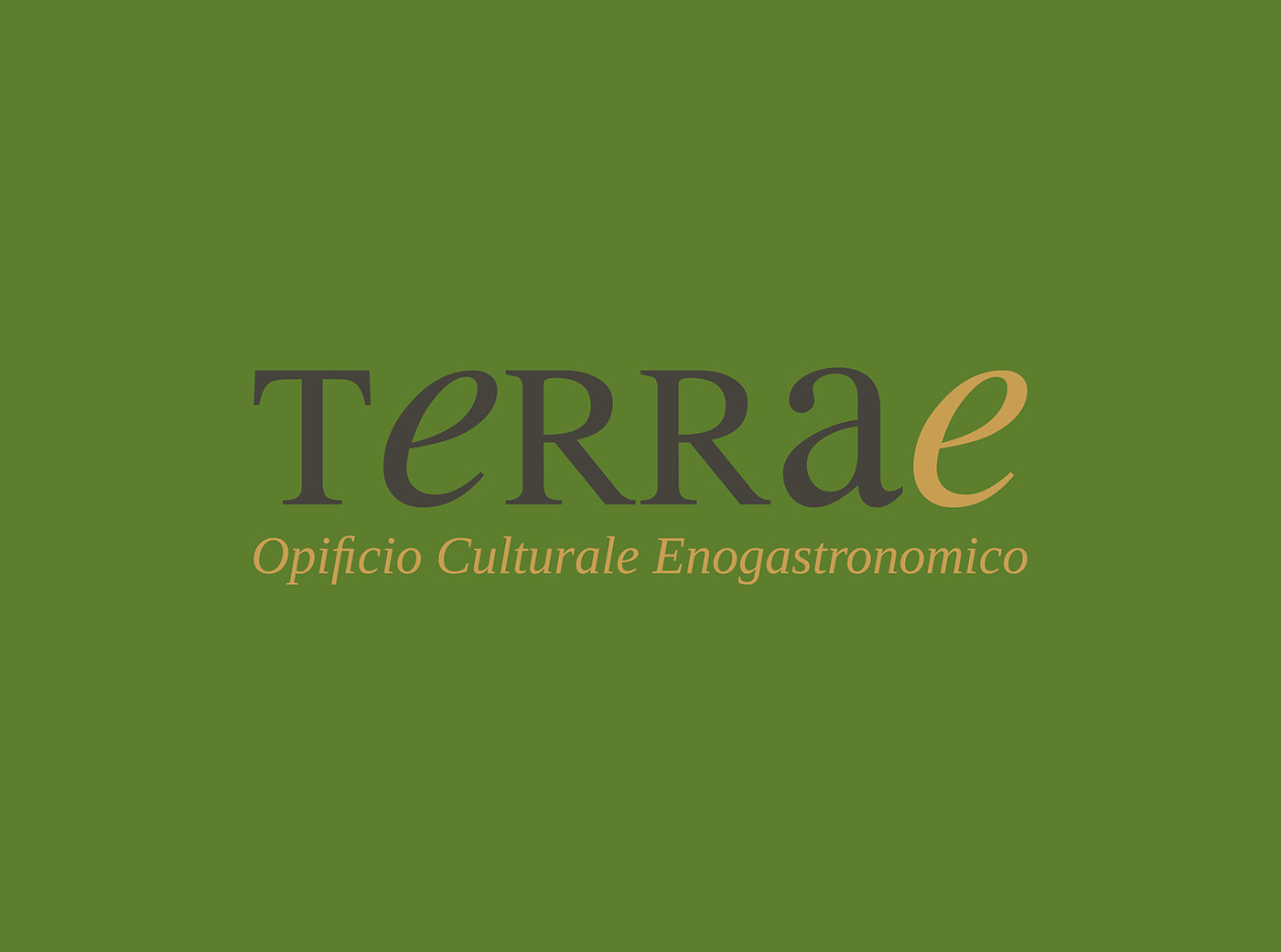 culture degustazioni Food  Italy logo terra visual identity wine