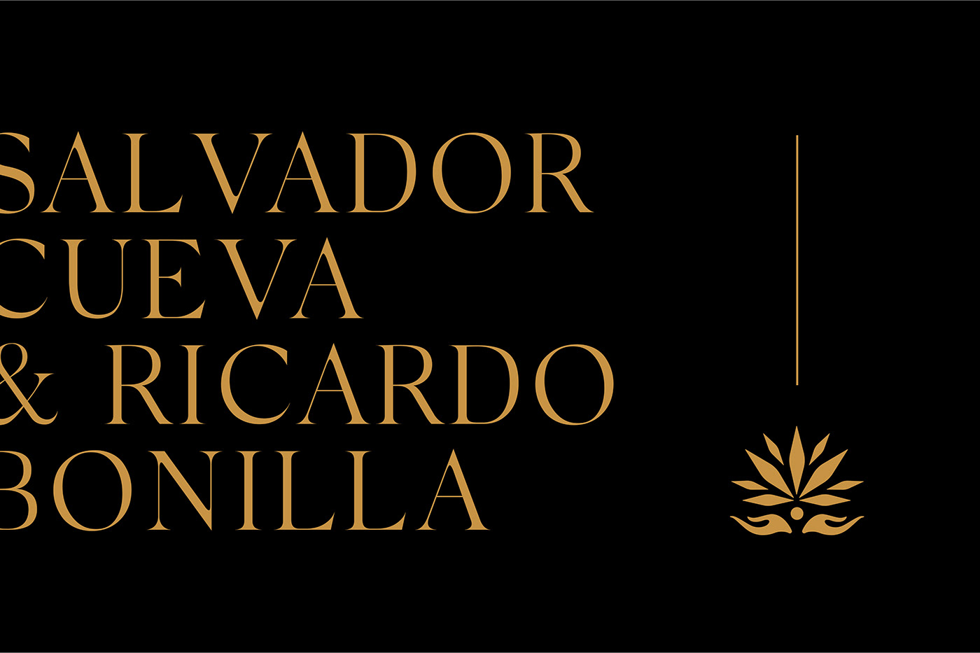 beverages book design editorial design  Guadalajara ILLUSTRATION  mexico oaxaca pattern Photography  Typeface