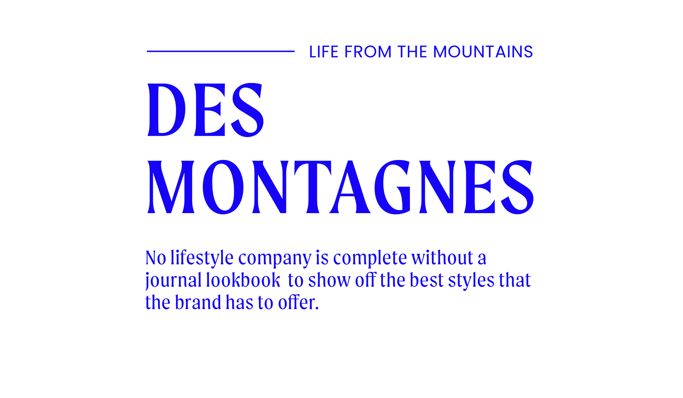 adventure brand Clothing france lifestyle modern mountains québécois Ski