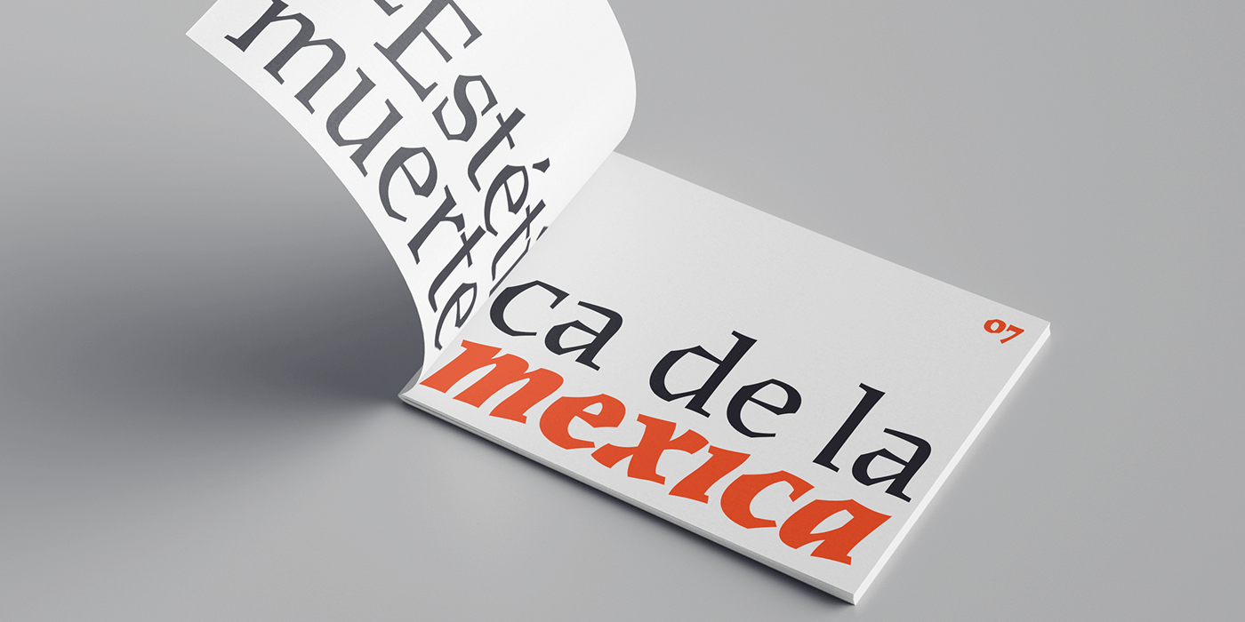 mexico typography   font sudtipos Meave graphic design  type design