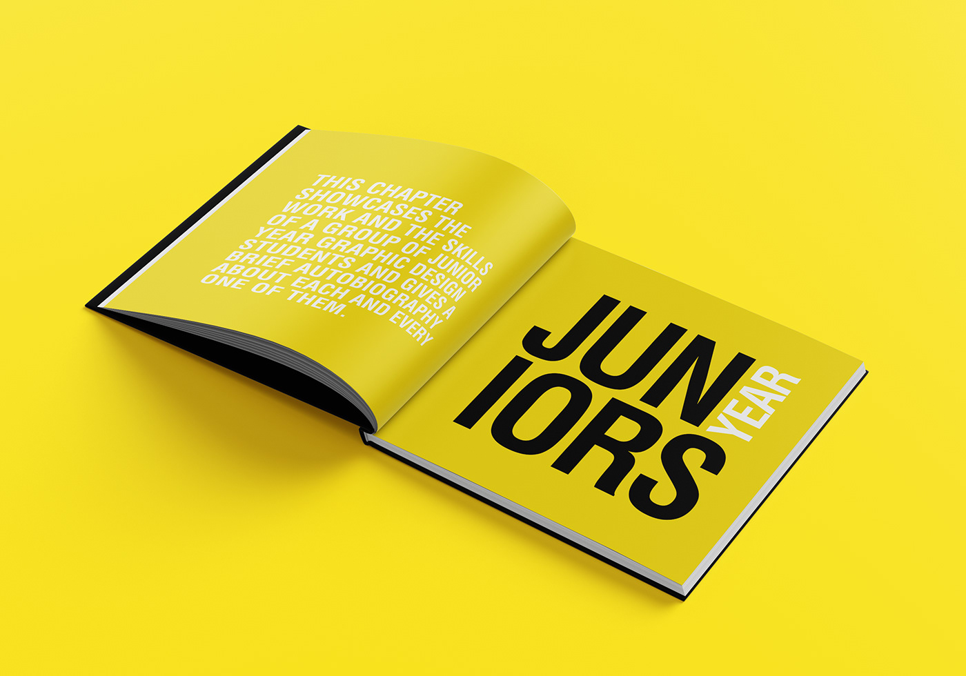 artbook design books layouts graphic design  Booklet editorial