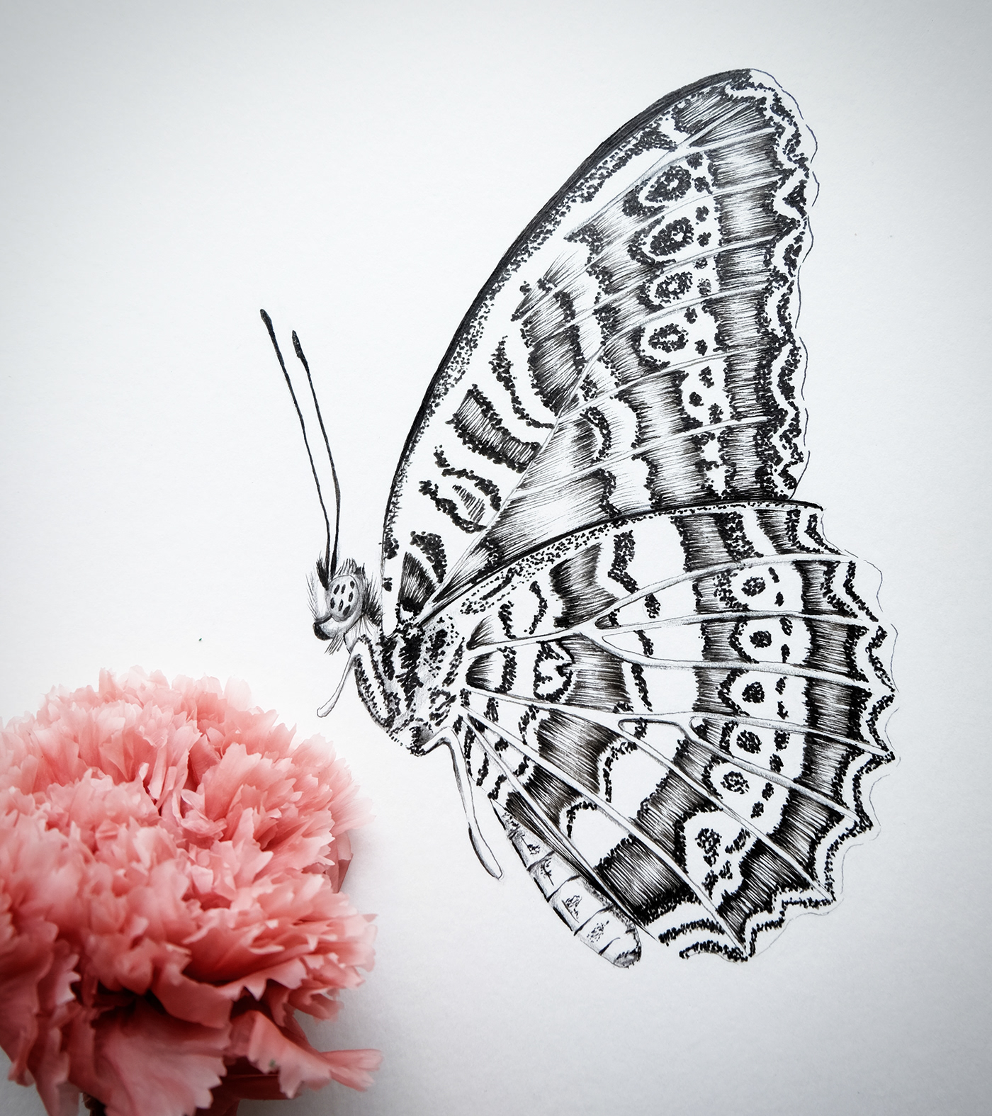 illustration of a leopard lacewing butterfly for an ar filter 