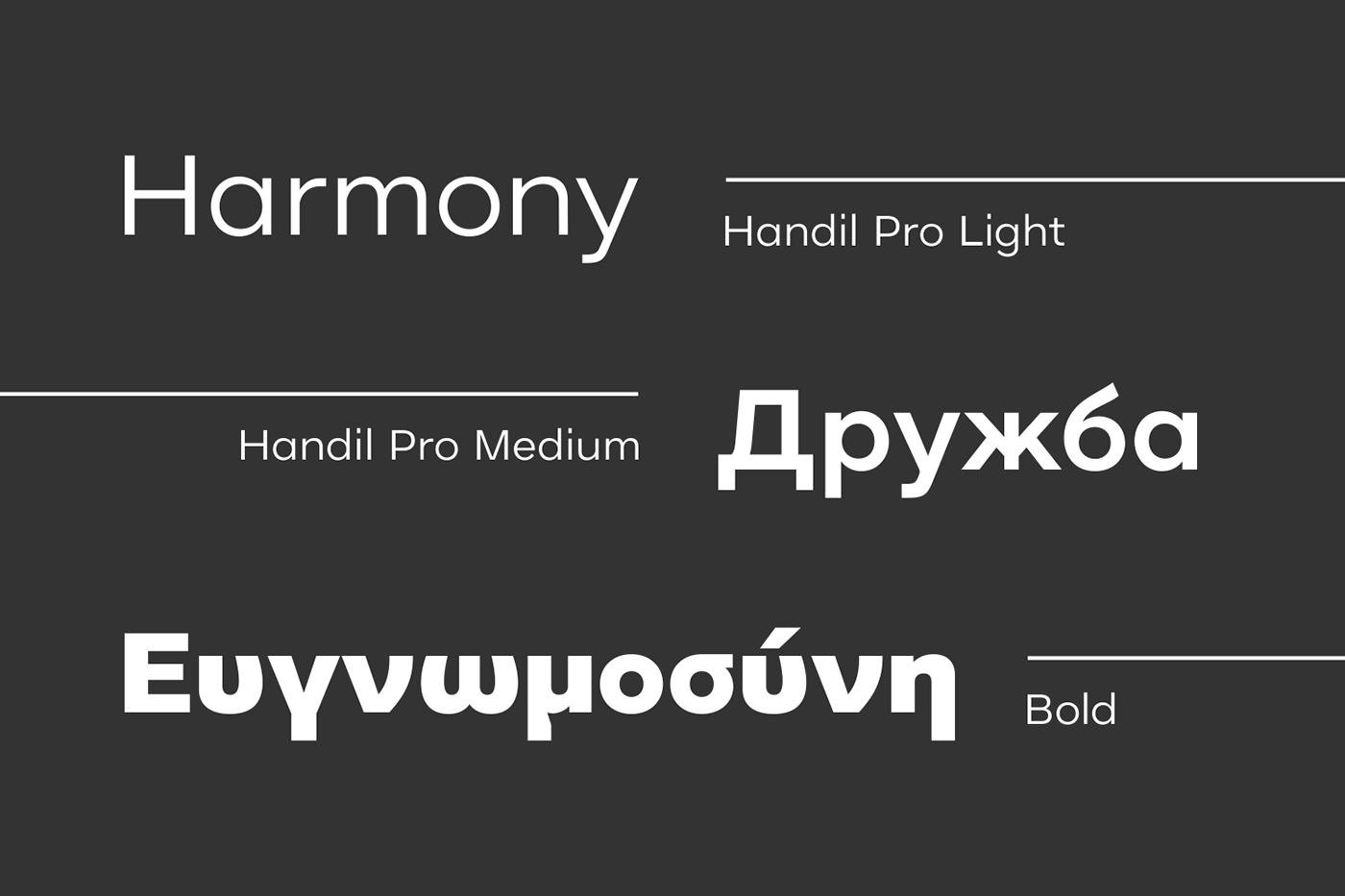 sans serif branding  typography   logo design