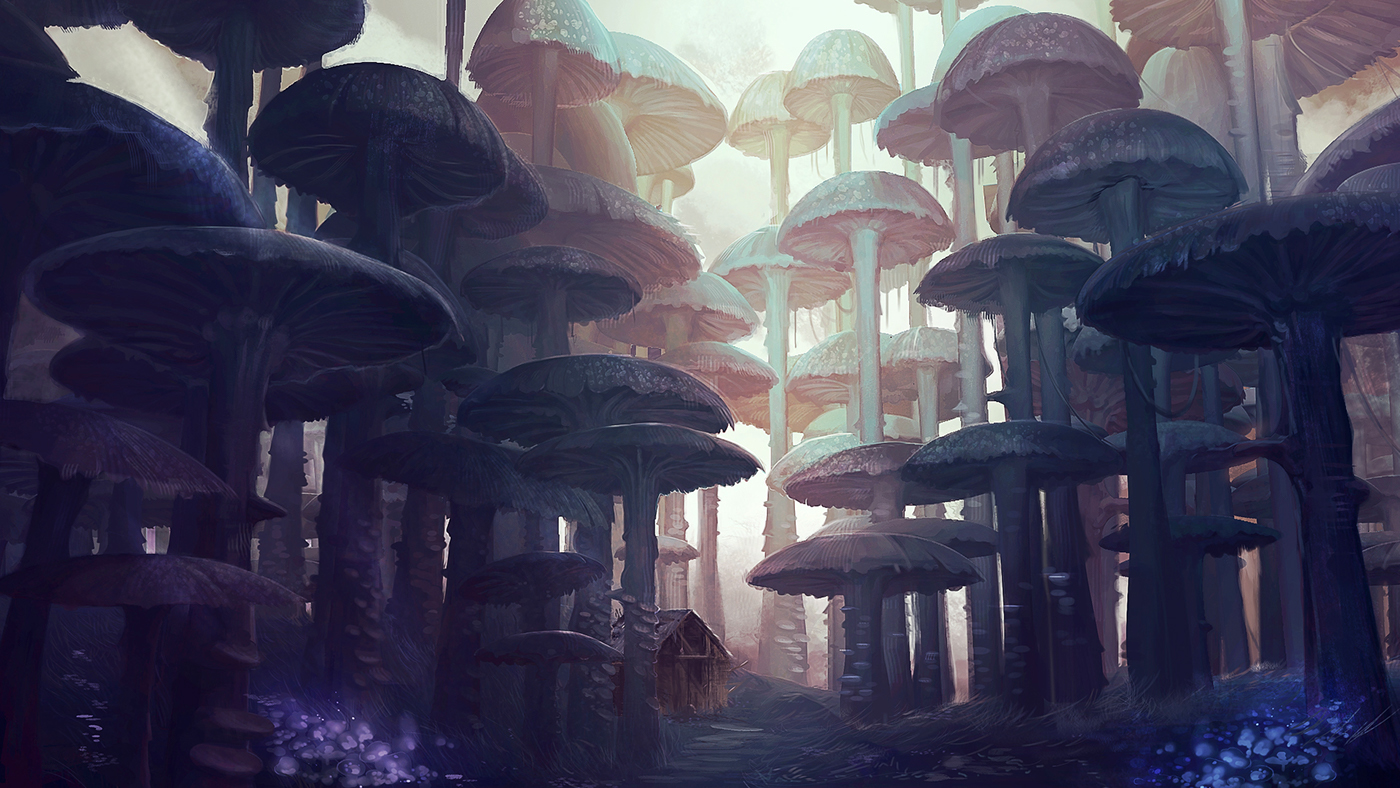 enviroment digital painting Mushrooms forest Magic   cabin photoshop
