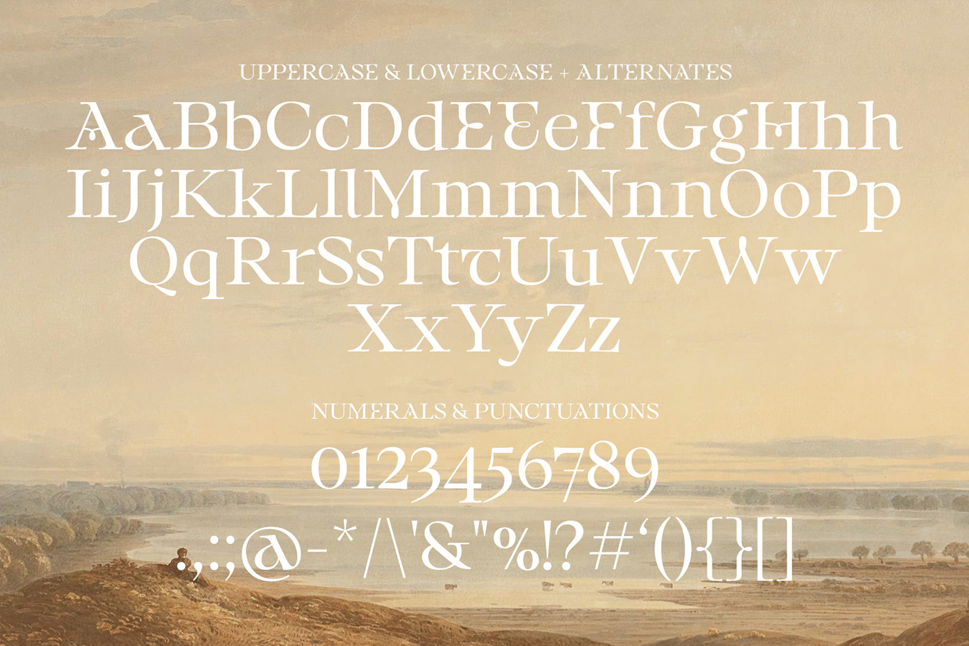 classic type clean Display elegant font modern serif Typeface typography   vintage