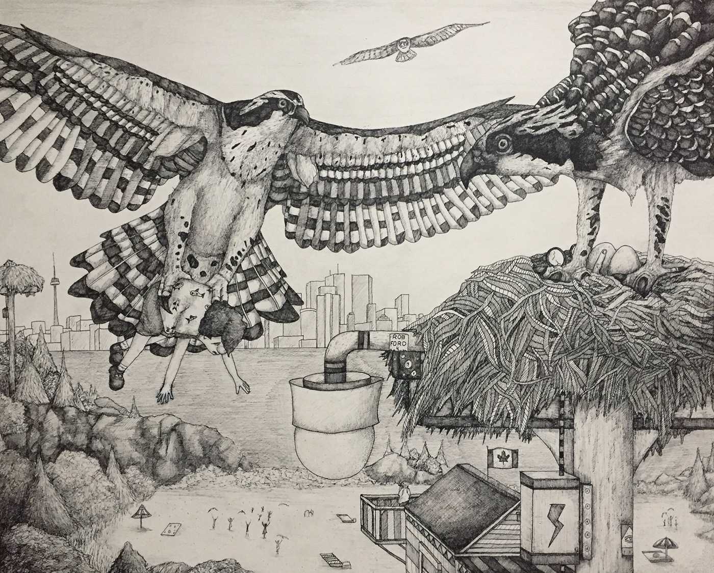 art birds Drawing  surrealism ILLUSTRATION  Nature greatlakes seabirds Attack narrative