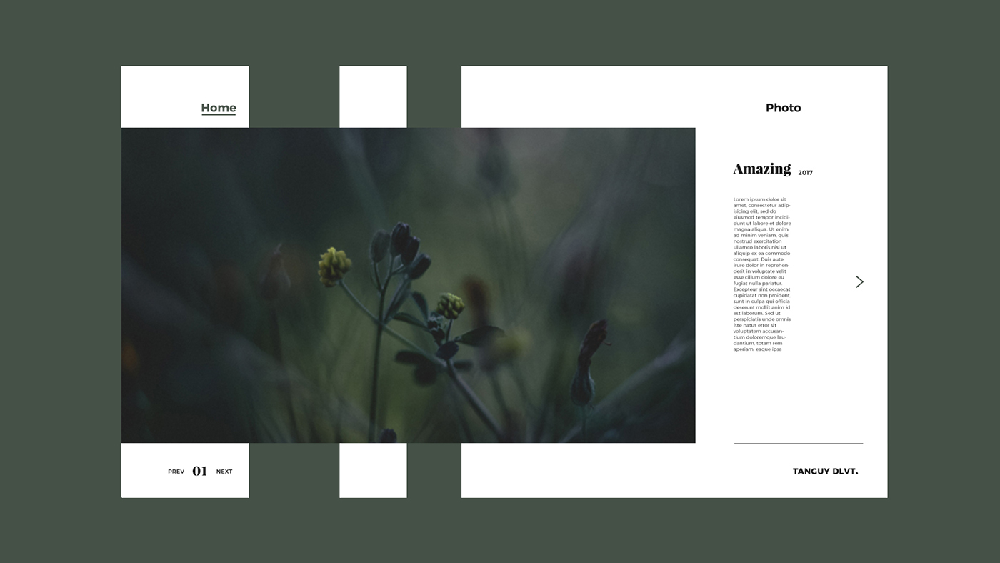 web site Web green Photography  interaction concept Golden Ratio UI clean Minimalism