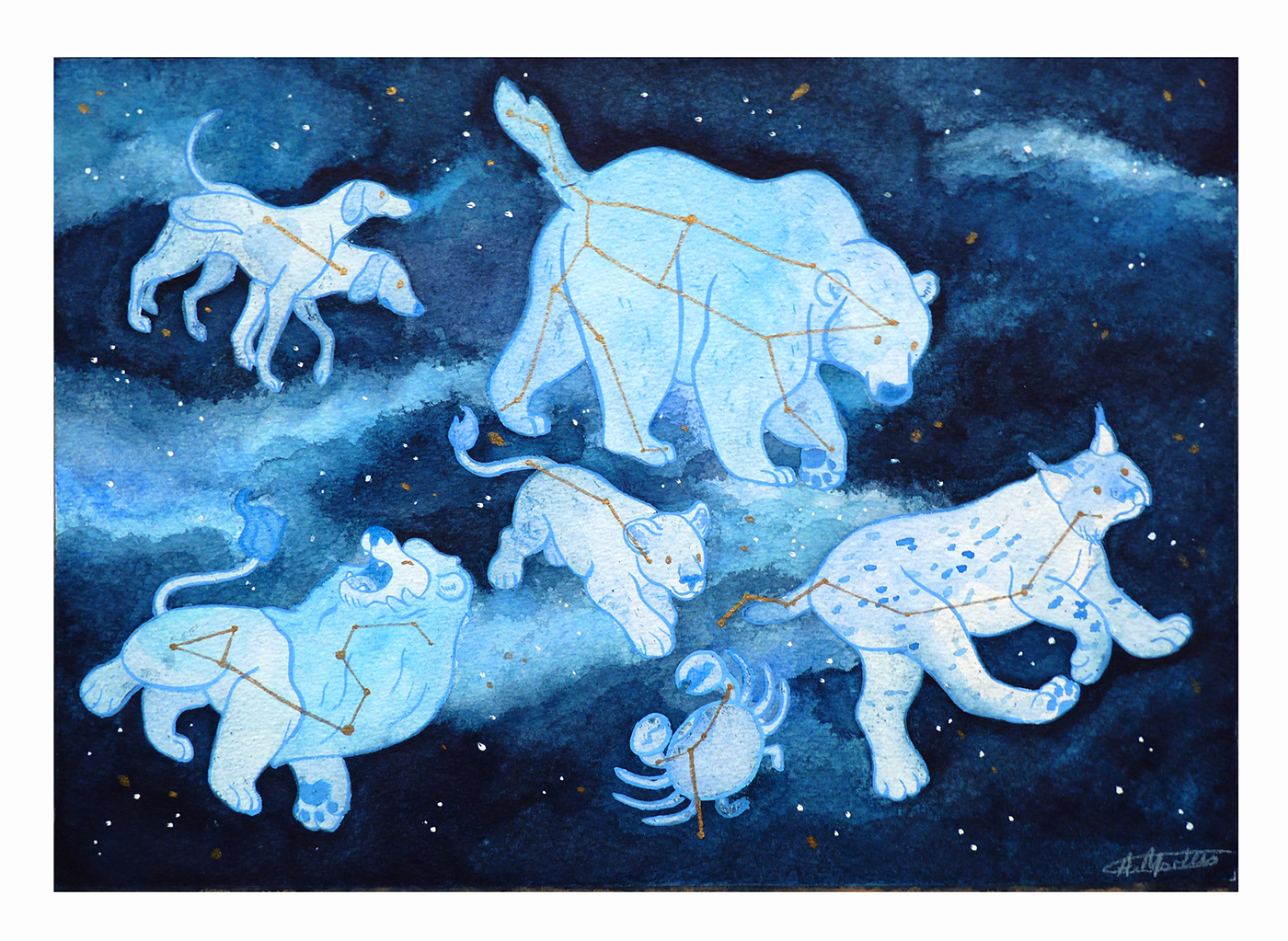 Constellations Space  animals animal illustration watercolour painting constellation art stars
