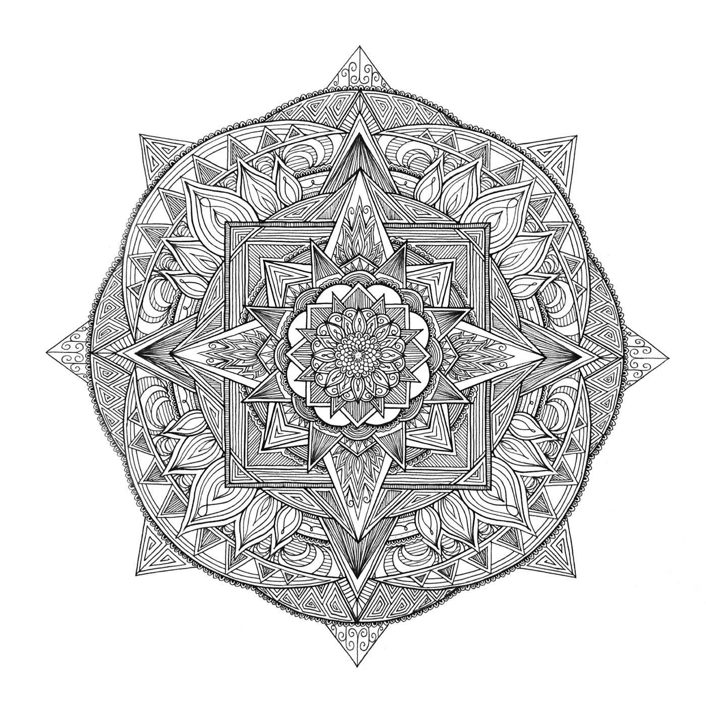Mandala radial design black and white Drawing  Floral design ILLUSTRATION  ink drawing monochrome Nature zentangle
