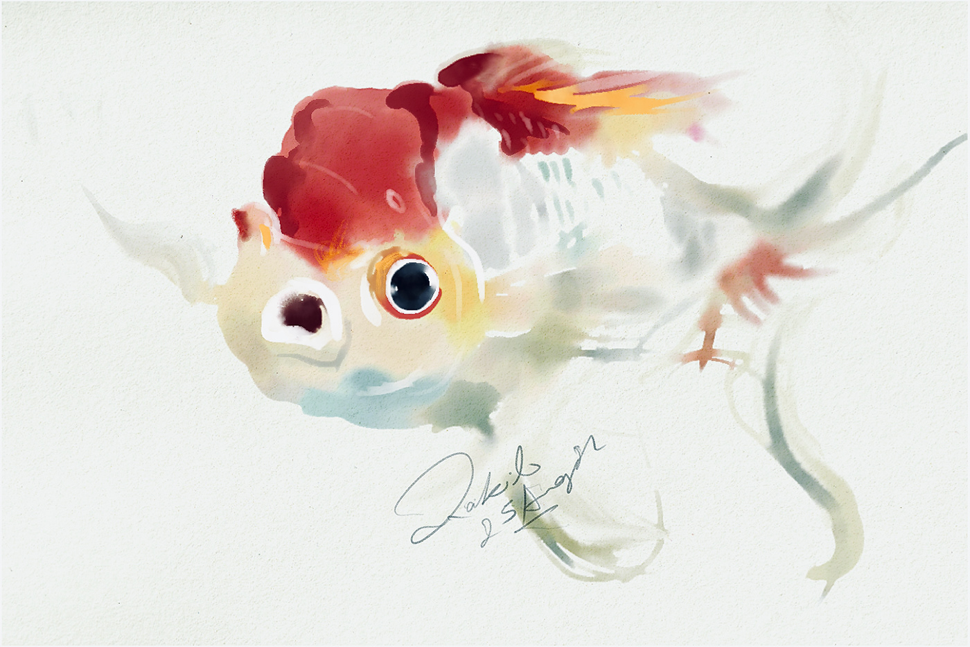 adobefresco gold fish watercolor
