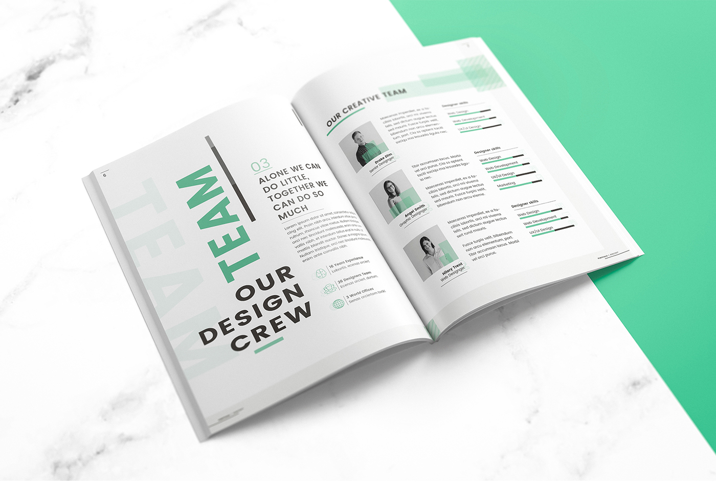 portfolio brochure creative Creative Brochure professional graphic design  print design  brand identity branding  visual identity