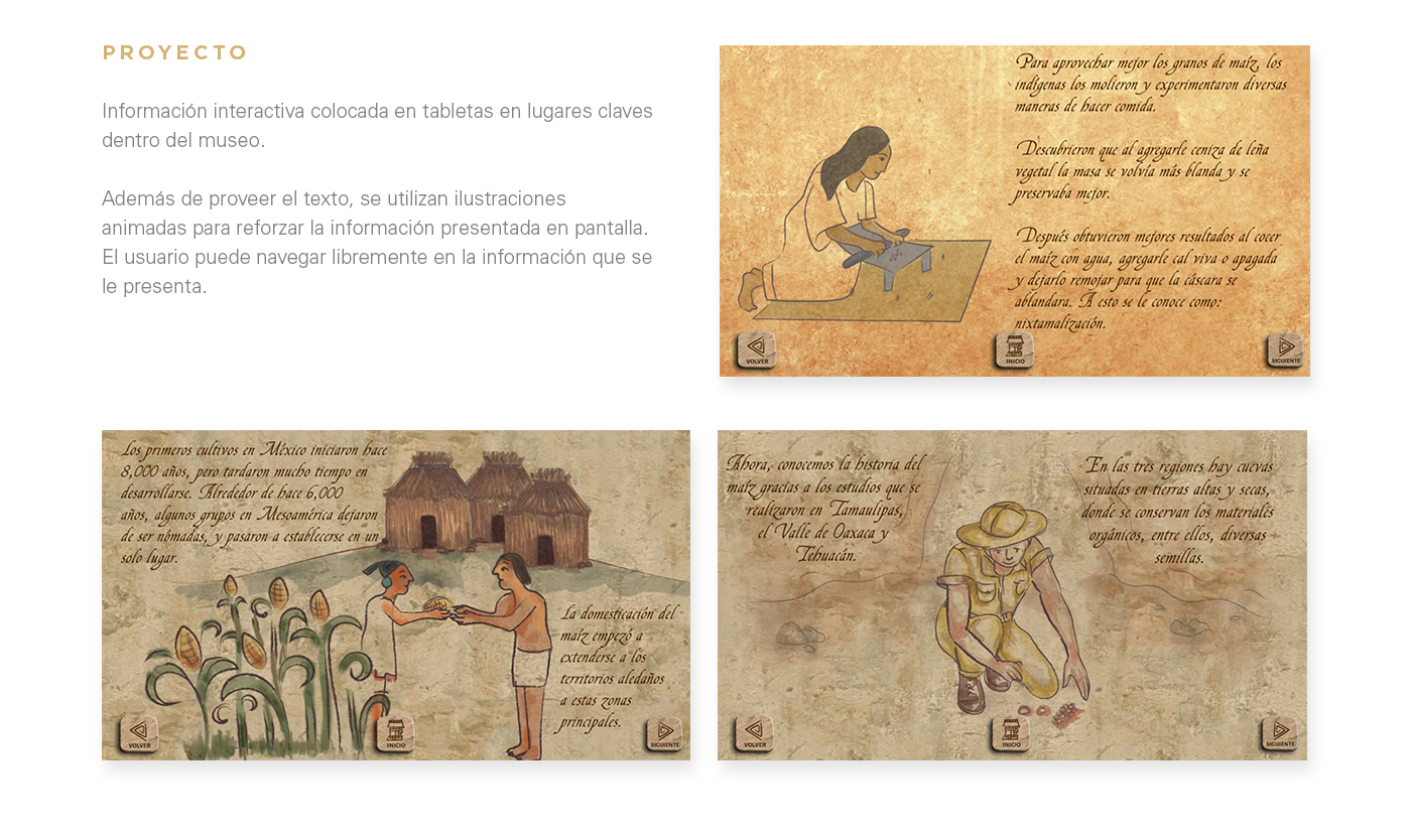 museum interactive tablet app museum app corn mexico Mexican prehispanic