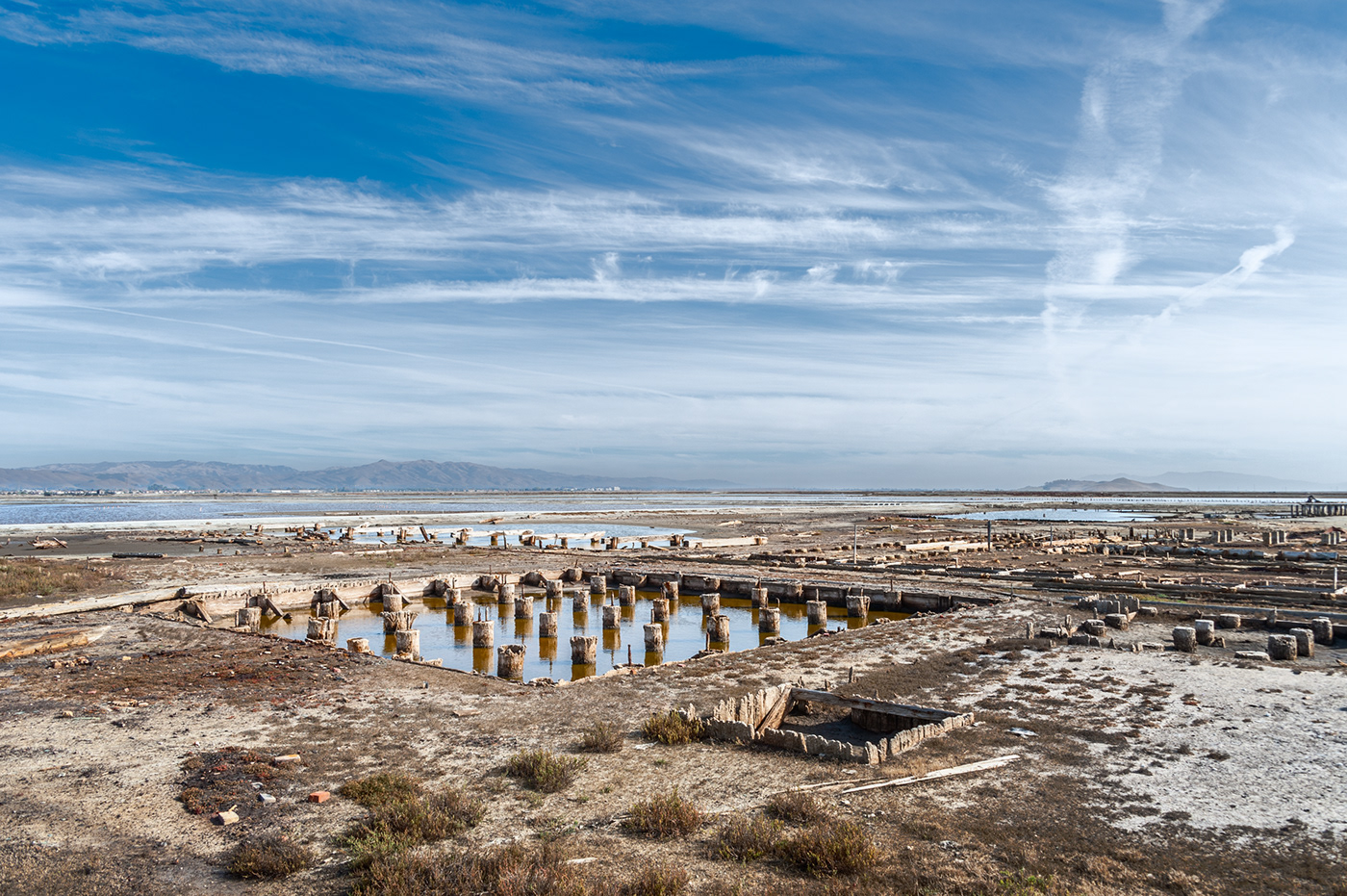 Landscape Salt marsh ruins California san francisco bay