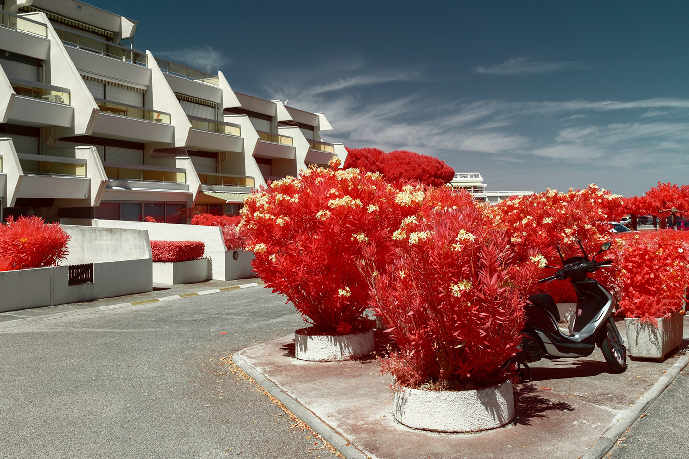 Aerochrome architecture holidays infrared infrared photography Nature Photography  reportage resort summer