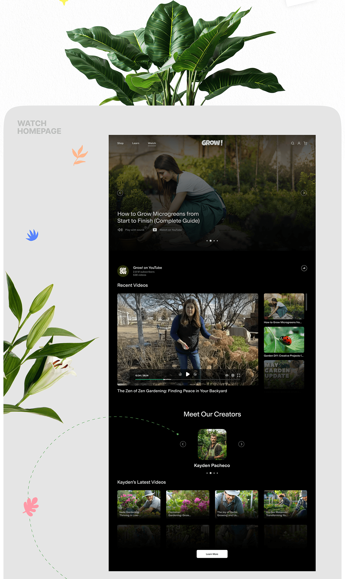Website gardening Ecommerce Web Design  redesign plants botanical UI/UX online store shop