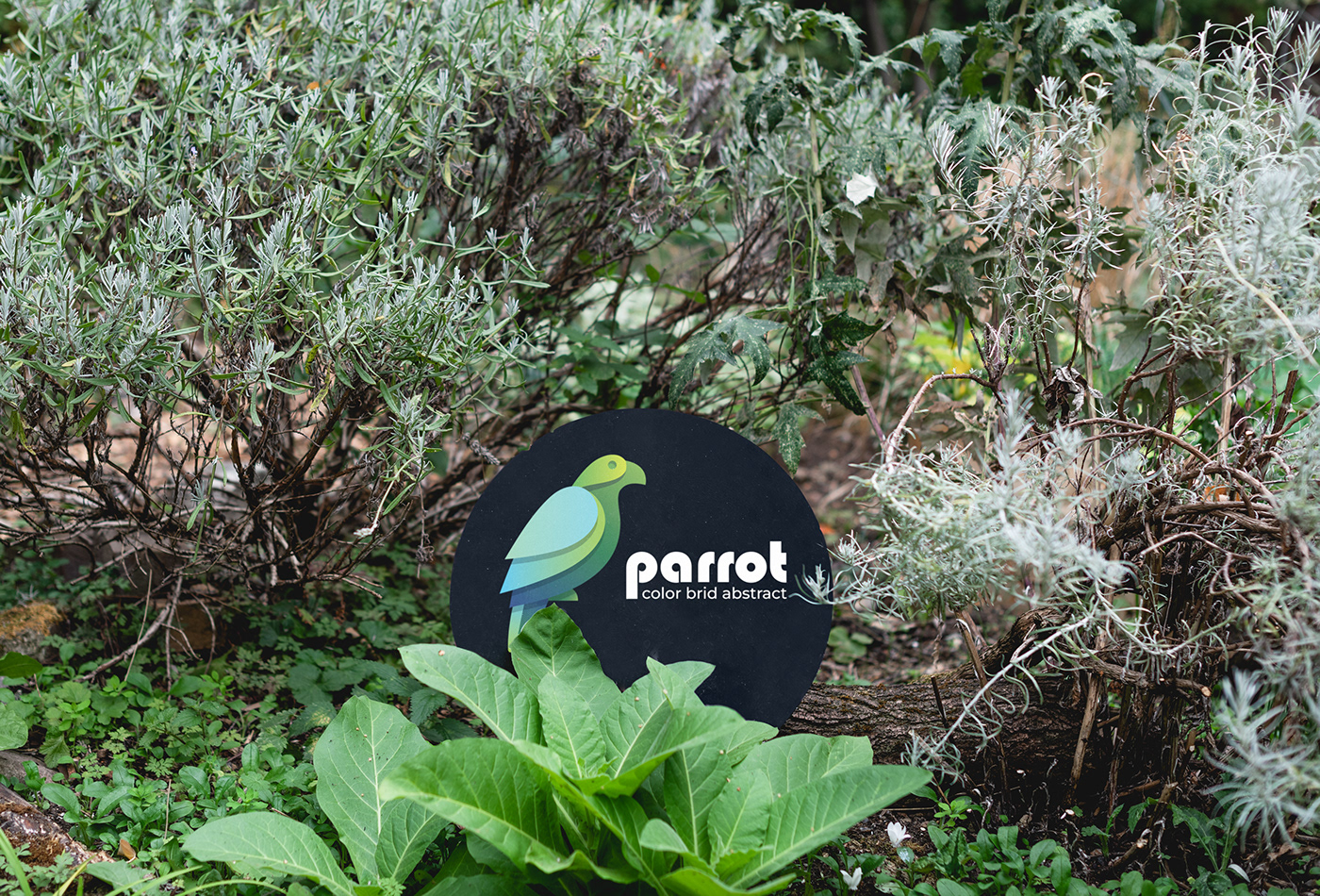 brand brand identity branding  Business Logo company crative design parrot Parrot Logo parrot logo design parrot logotype