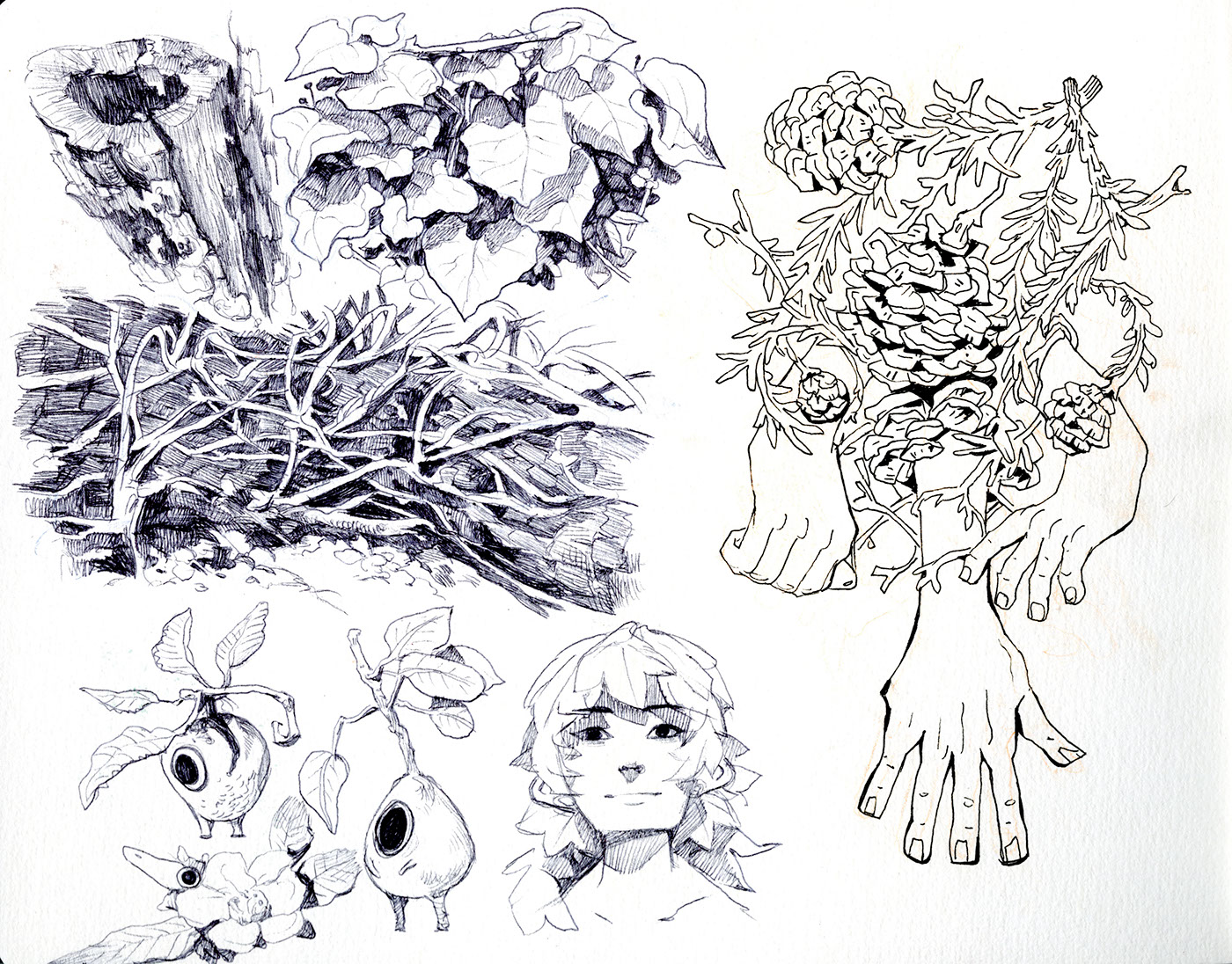 ink fantasy Nature Character sketch color season jbass julie Benbassat