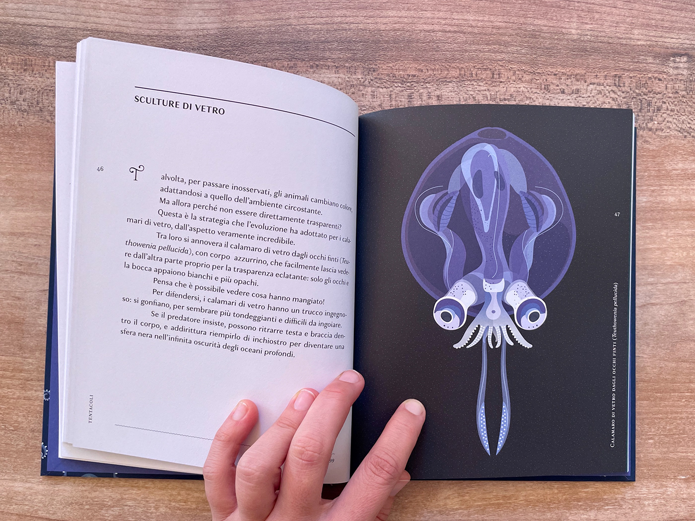 octopus cephalopods marine Ocean ILLUSTRATION  nomos infographics polpi naturalistic illustration Craig Foster