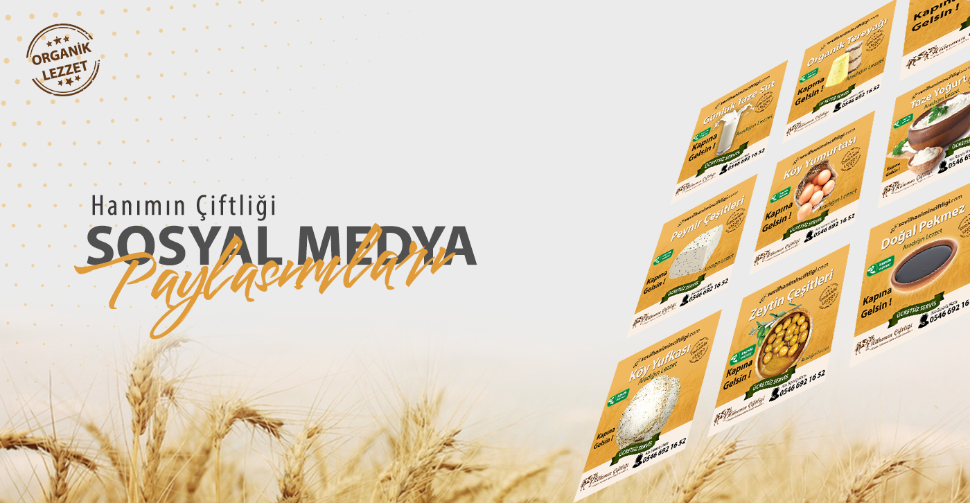 social media sosyal medya grafiktasarım sosyalmedya Socialmedia design tasarım grafik sosyal