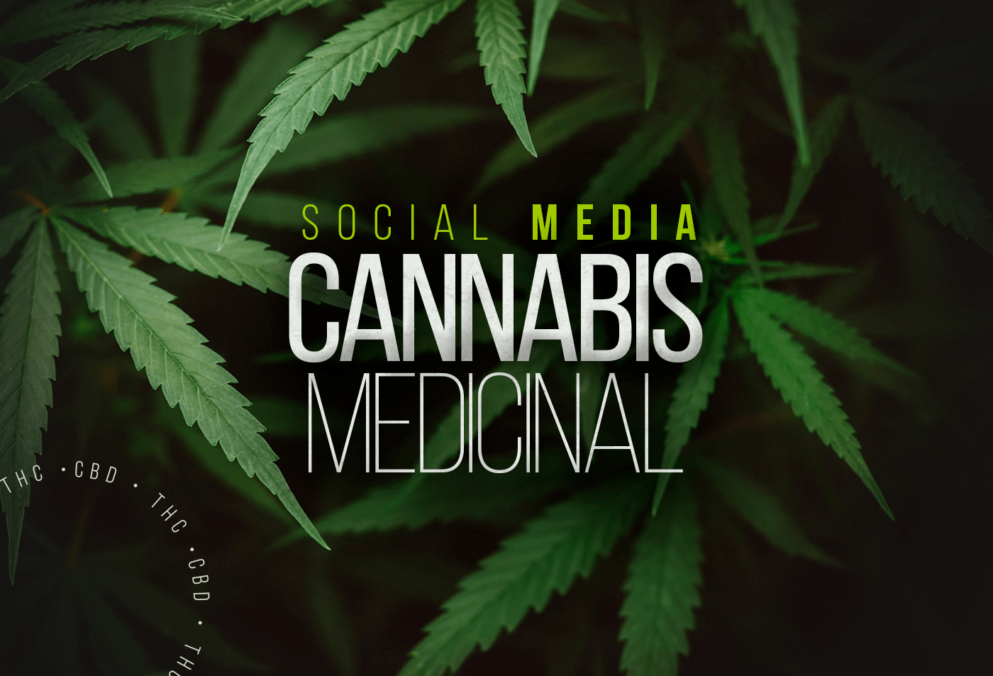 cannabis CBD CBD oil marijuana Socialmedia post doctor medico medicina thc