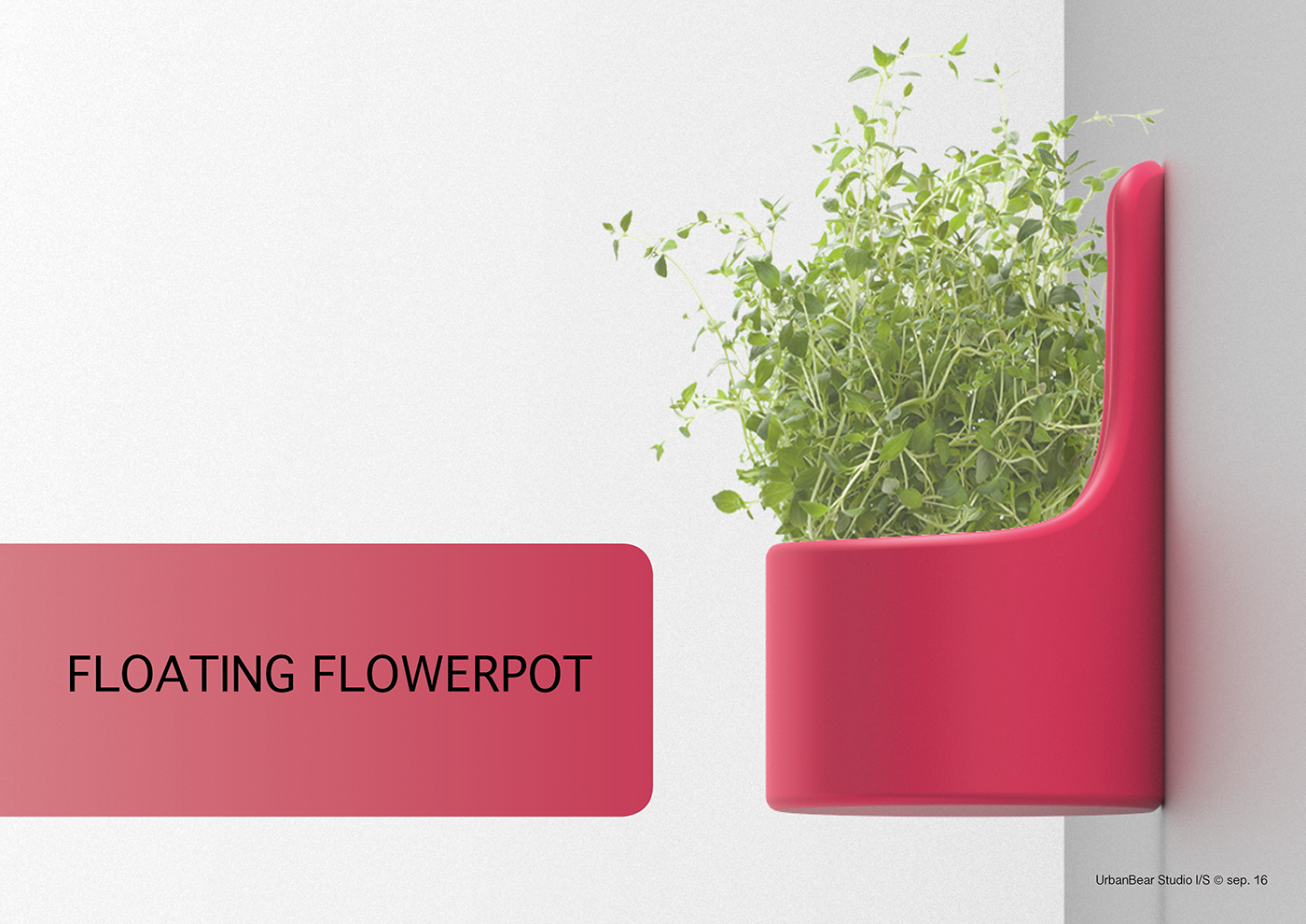 flower flowerpot pot herbs modern Space  minimalistic