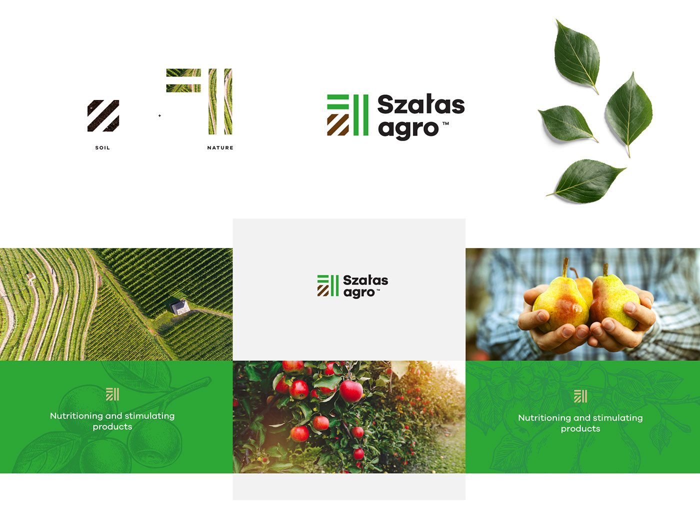 identity branding  eco Packaging logo mark agriculture farming organic
