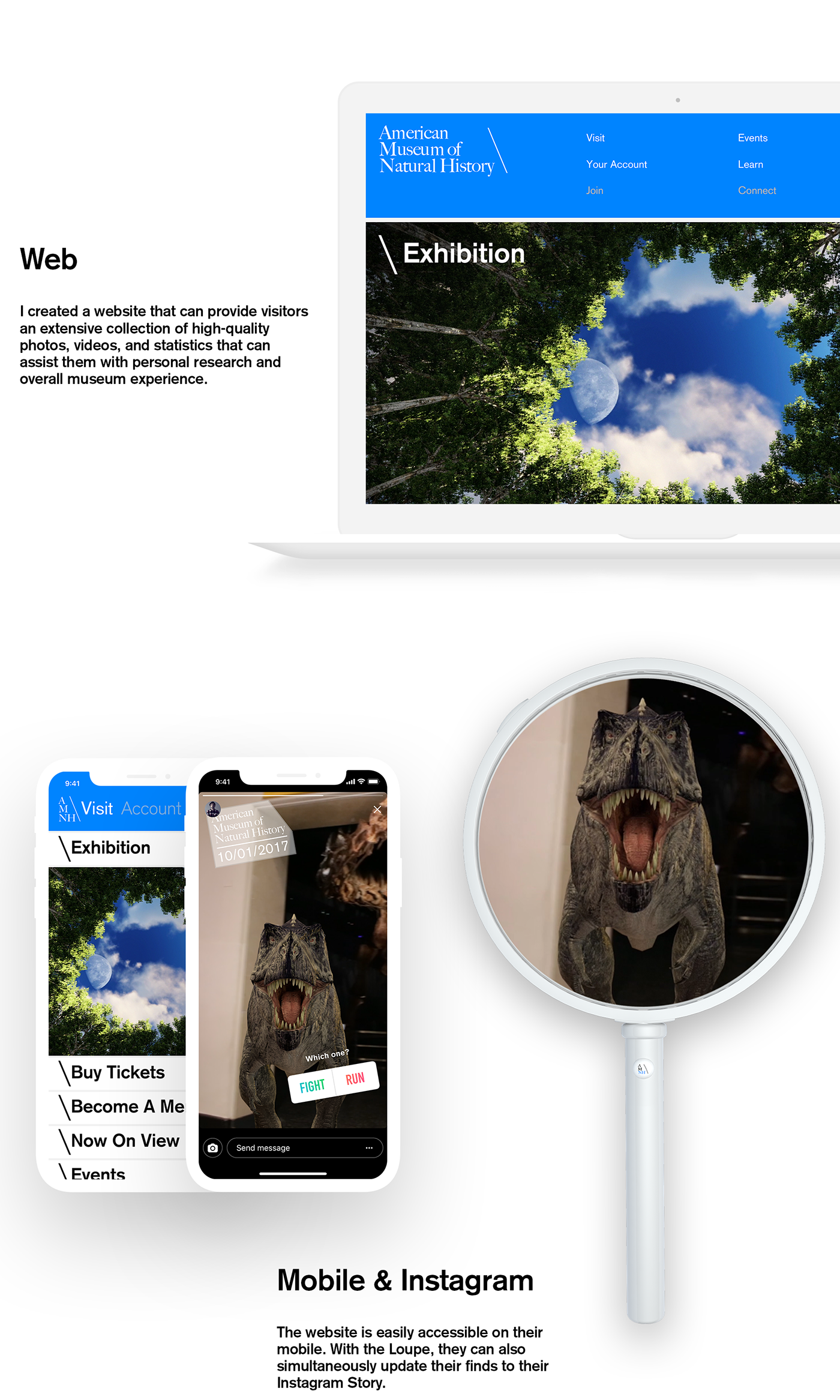 Web magnifying glass product museum AR branding  UI/UX Dinosaur animal adobeawards