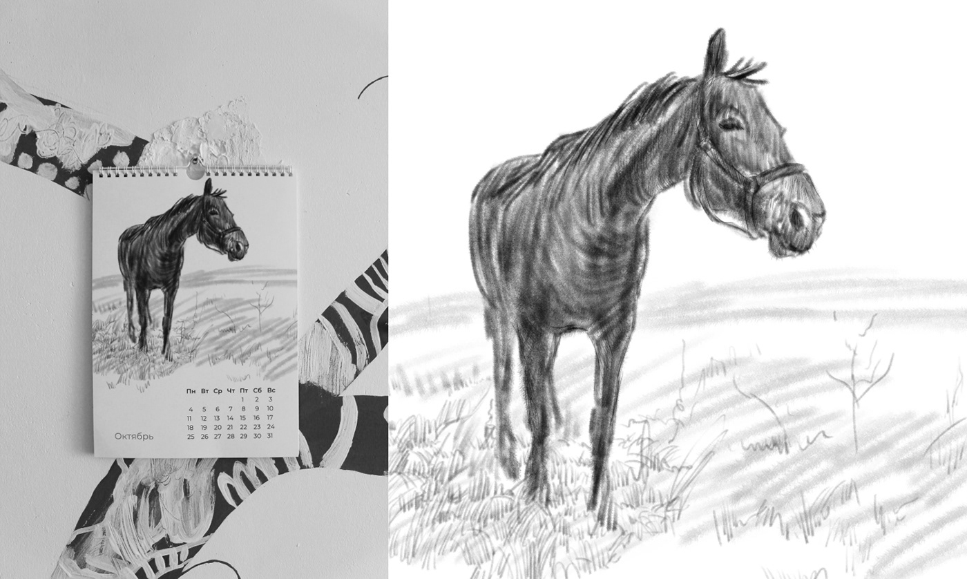 calendar digital illustration horse horse club ILLUSTRATION  sketch illustration
