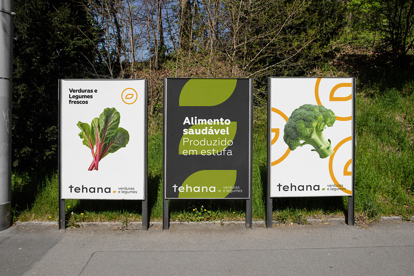 marca brand identity Logo Design Alimentos verduras vegetables organic natural Packaging