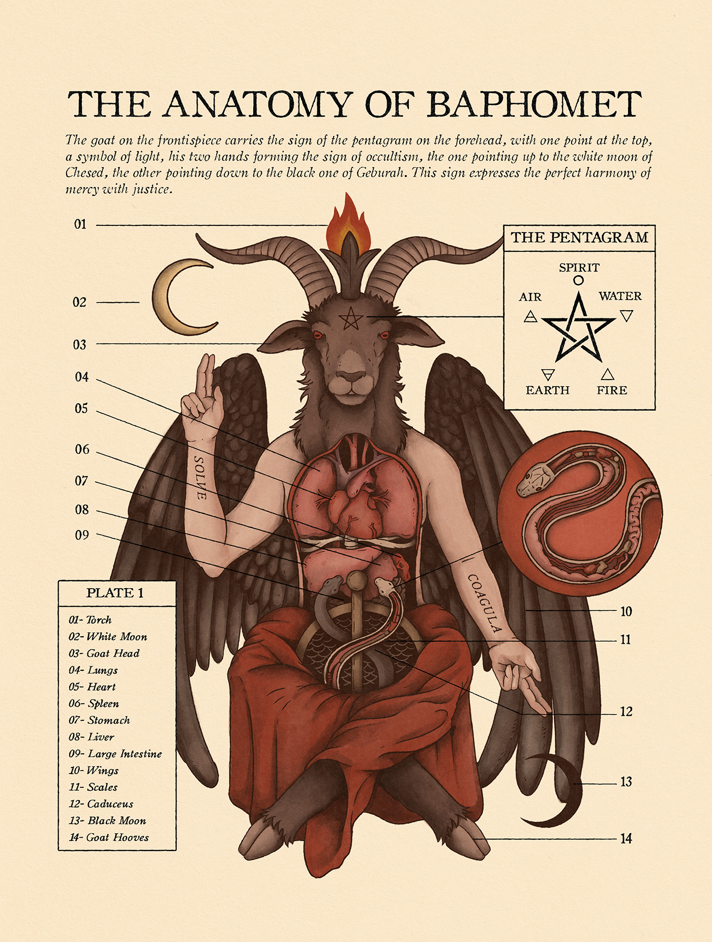anatomy anatomy illustration Astrology Baphomet heart Magical medical science tarot witchcraft