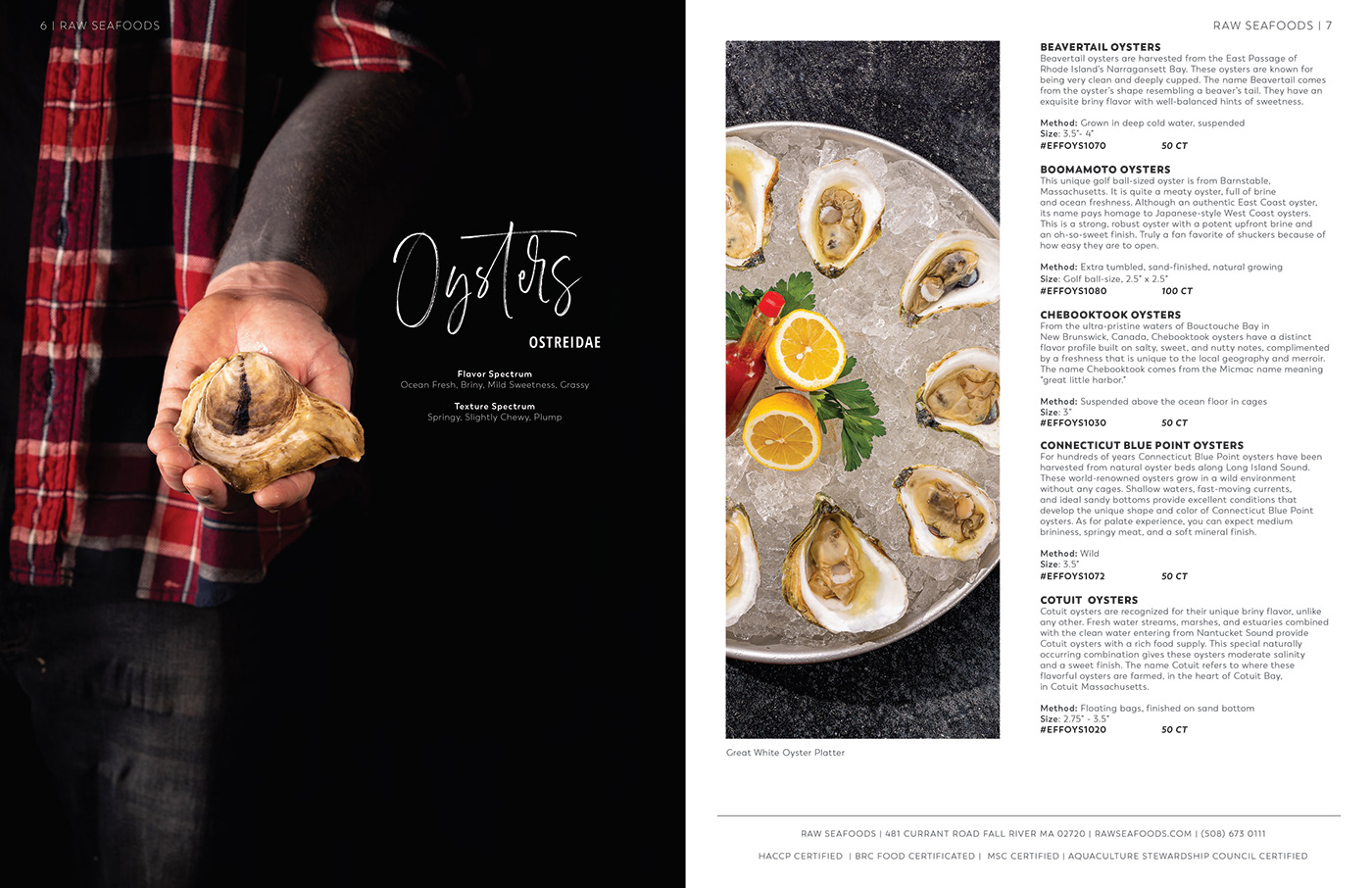 Layout Design catalog seafood shellfish