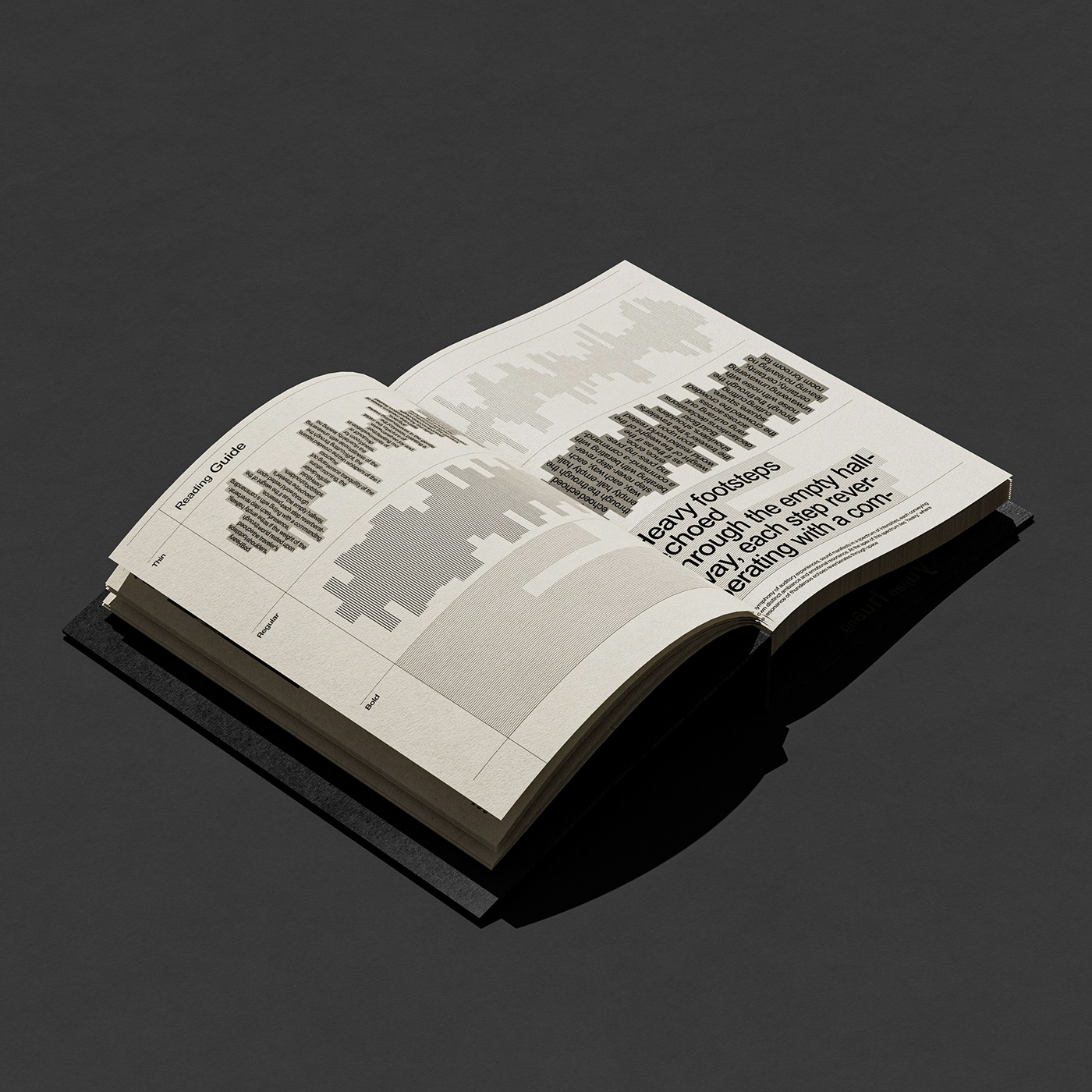 book cover typography   design brand identity Graphic Designer Brand Design magazine Layout print editorial