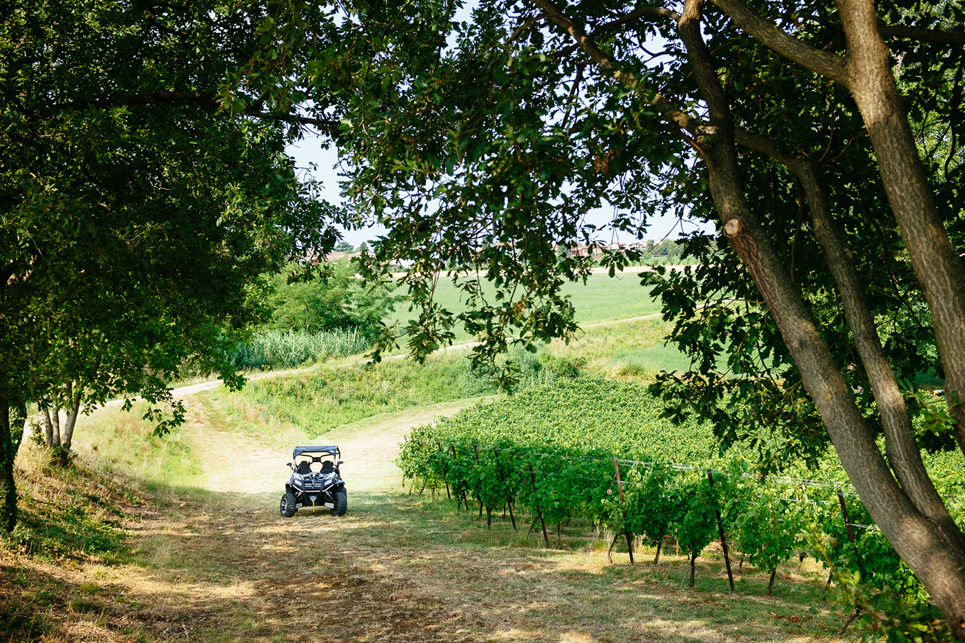 Off-Road Offroad buggy car automotive   ADV Italy wine vineyard oltrepò