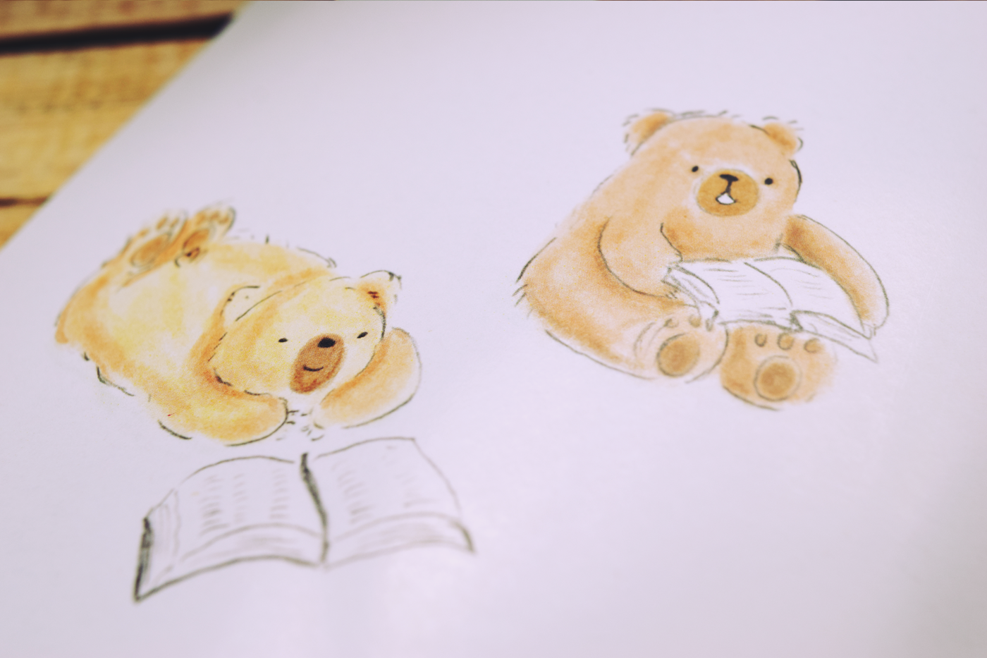 bear honey children infantil cuento story