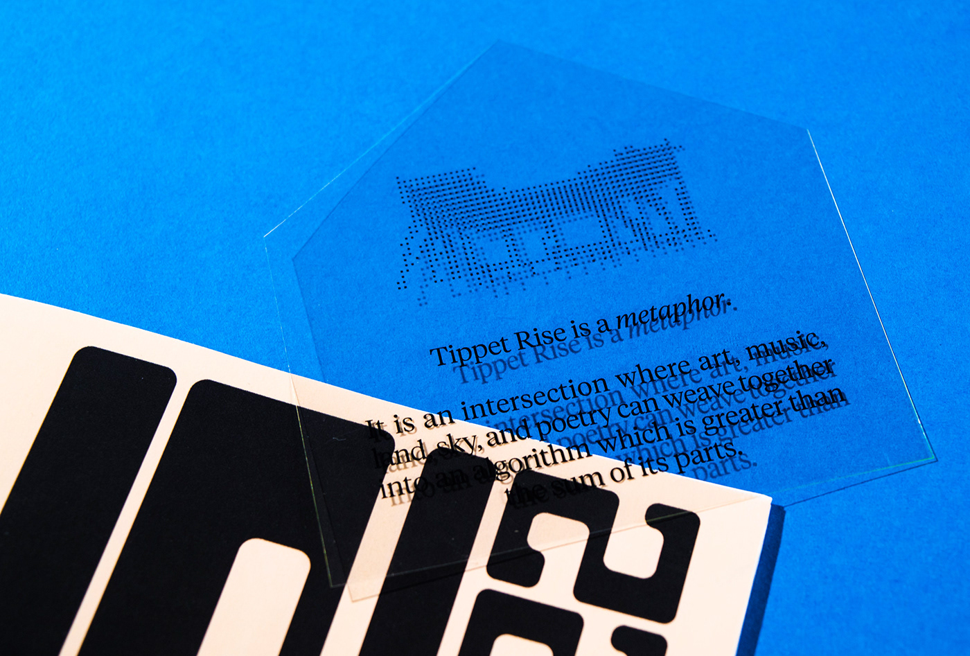 Tippet Rise Art center branding  identity sculpture Rebrand transmedia typography   trendy