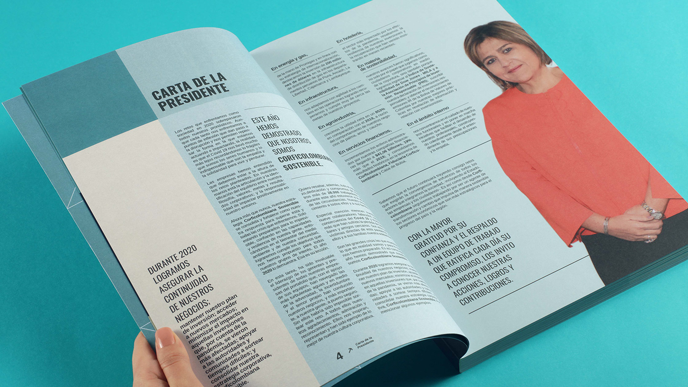 annual report book editorial editorial design  graphic design  Sustainability Sustainable Web Design  sostenibilidad business report