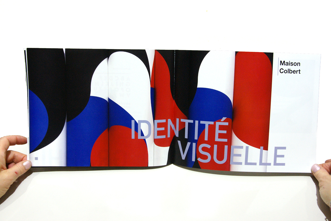 book graphiquants Paris studio Work  graphic identity agency parisian Promotion
