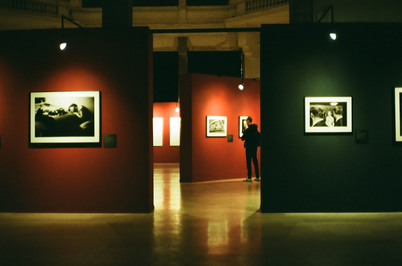 museum analog color ricoh elliott erwitt 35mm film photography