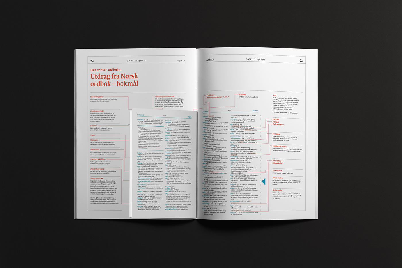 graphic design  editorial design  print design  dictionary ILLUSTRATION  typography  