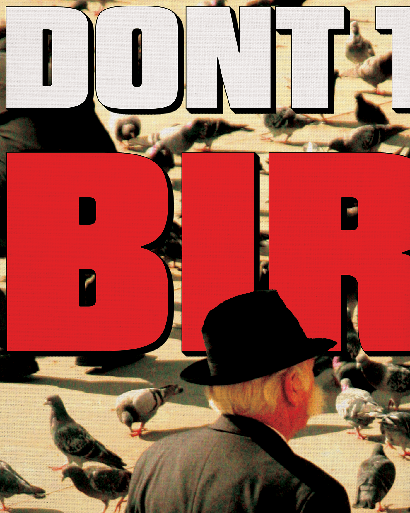 don't trust birds joseph_smk funny humor Digital Art  Graphic Designer poster Social media post