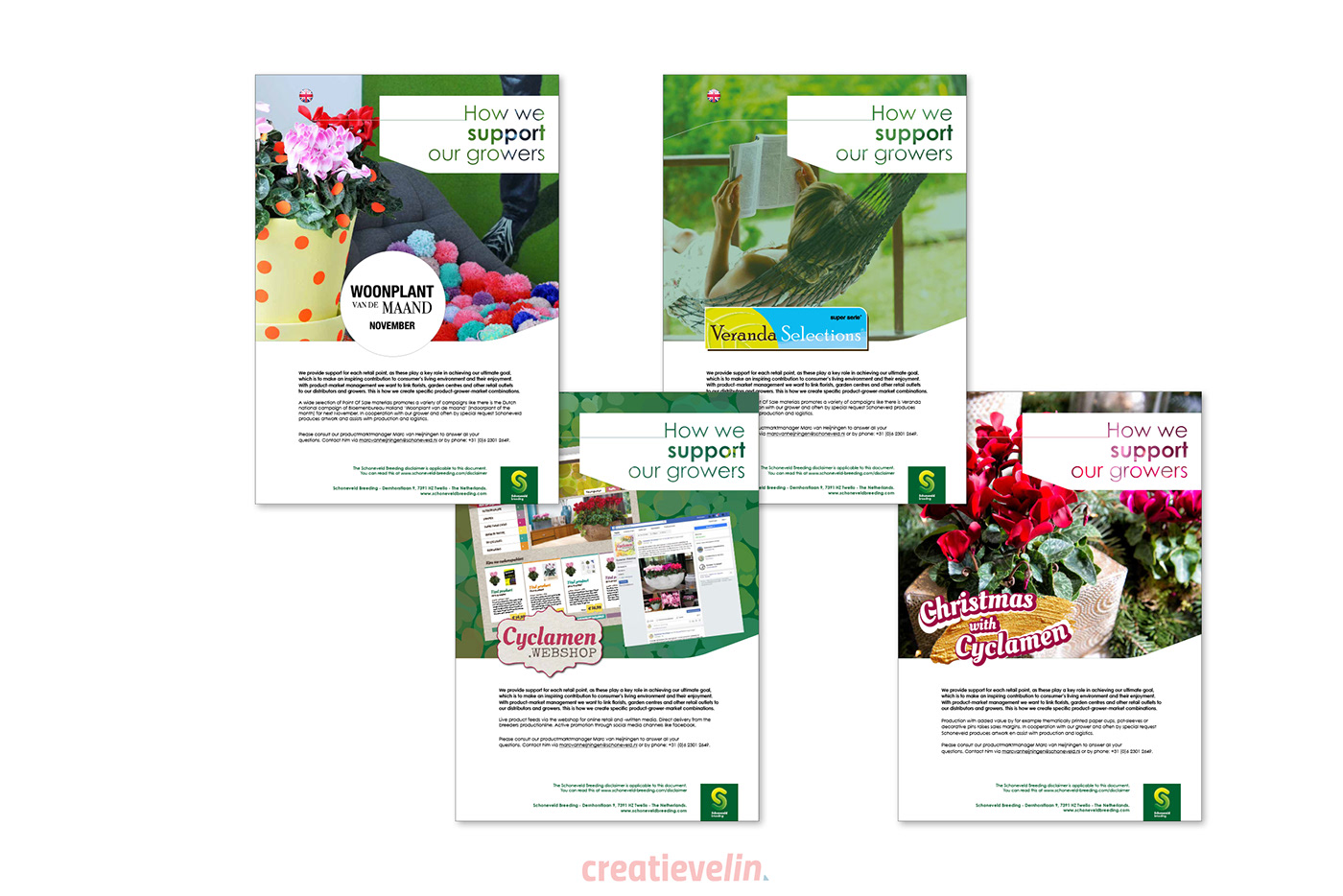 branding  brochure catalogi catalogus flyers Webdesign