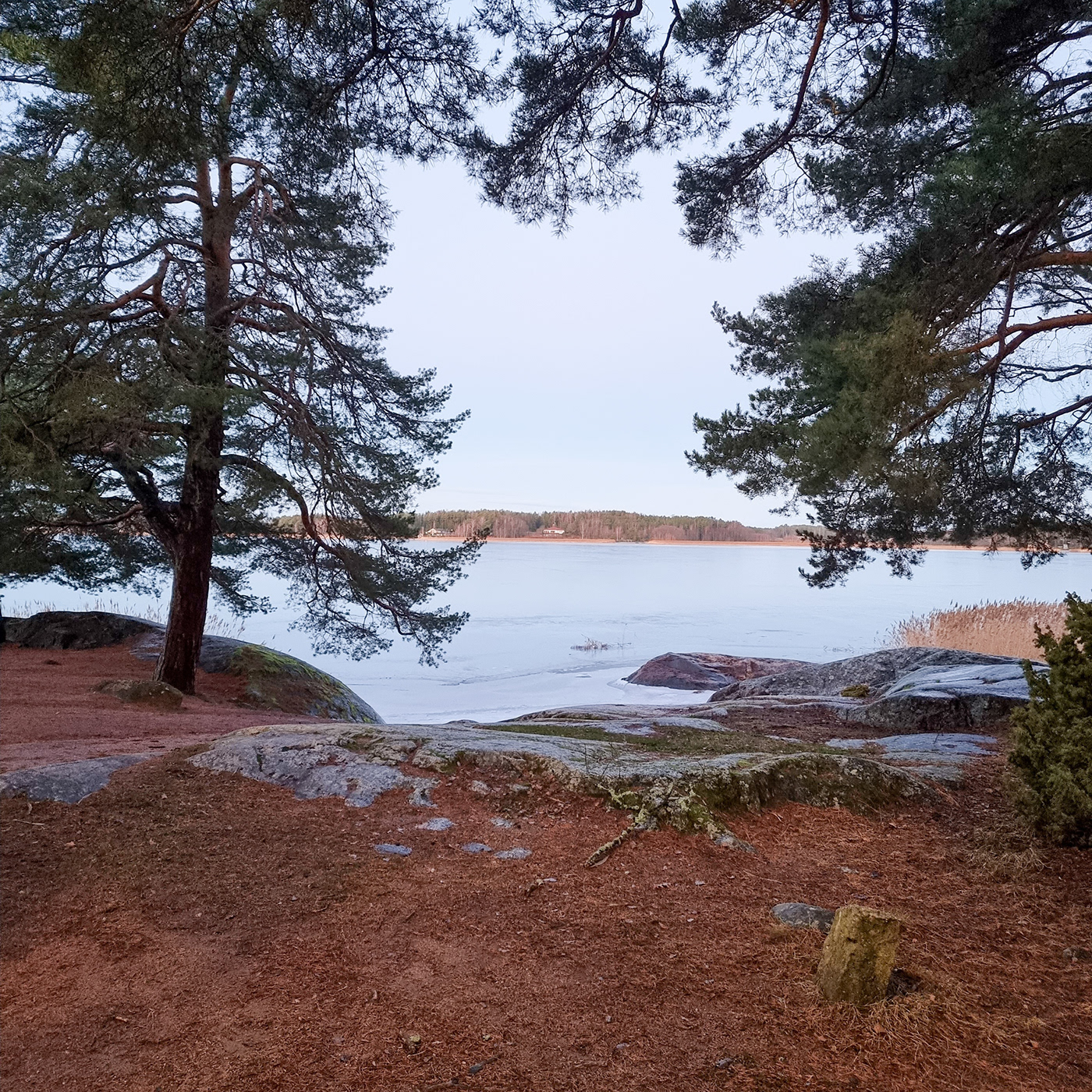 amazing view finland ice Landscape Naantali Nature north snow Travel trees winter