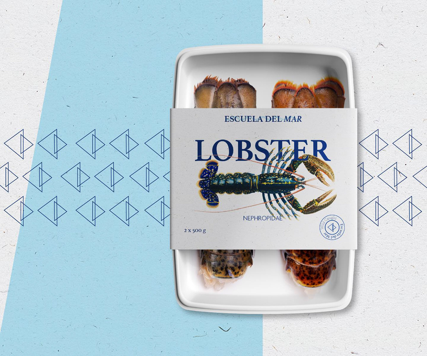 branding  design fish food & beverage graphic design  illustrations packaging design