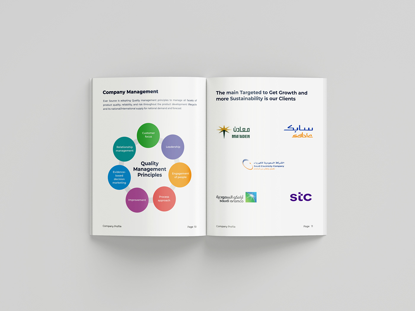 booklet design brochure brochure design company Company Book company profile Layout Design print profile design