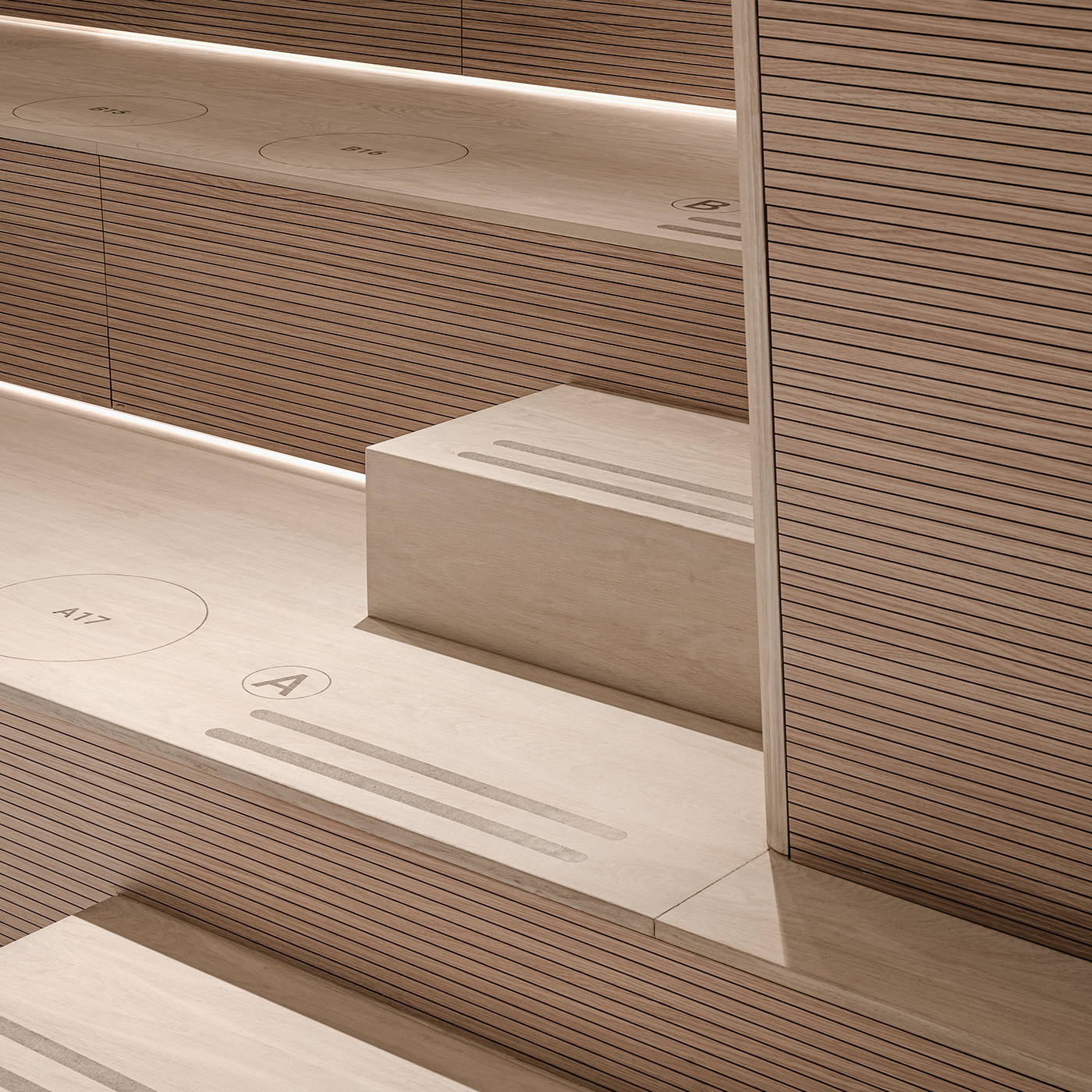 apple design Interior interior design  light MacPaw minimal Minimalism White wood