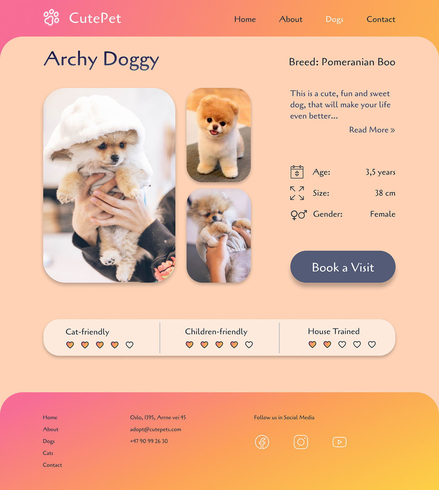 Web Design  UI/UX ui design landing page desktop dog animal adoption Pet Logo Design