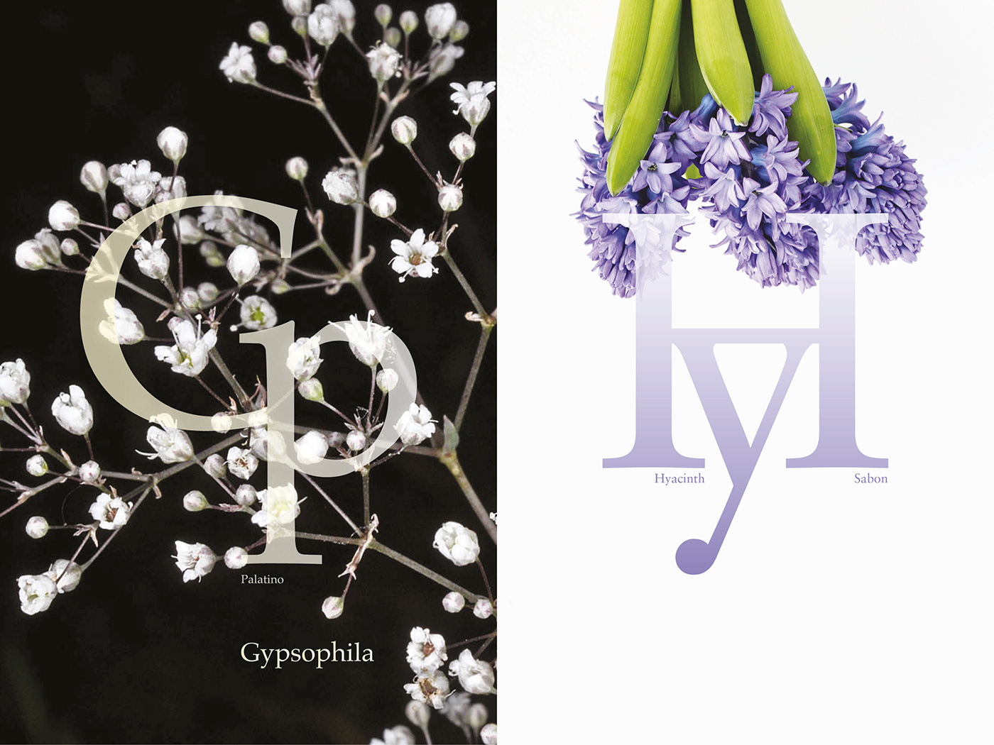 flower typo graphic Typeface graphic design  Bookdesign logodesign font