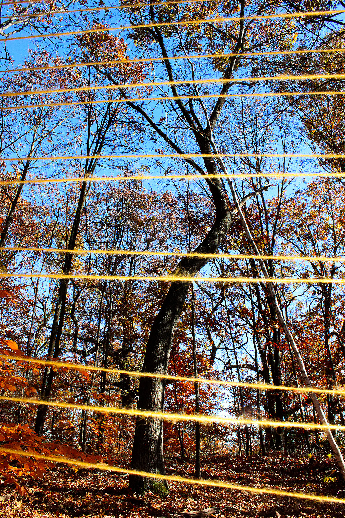 installation autumn yarn land art Earth Art
