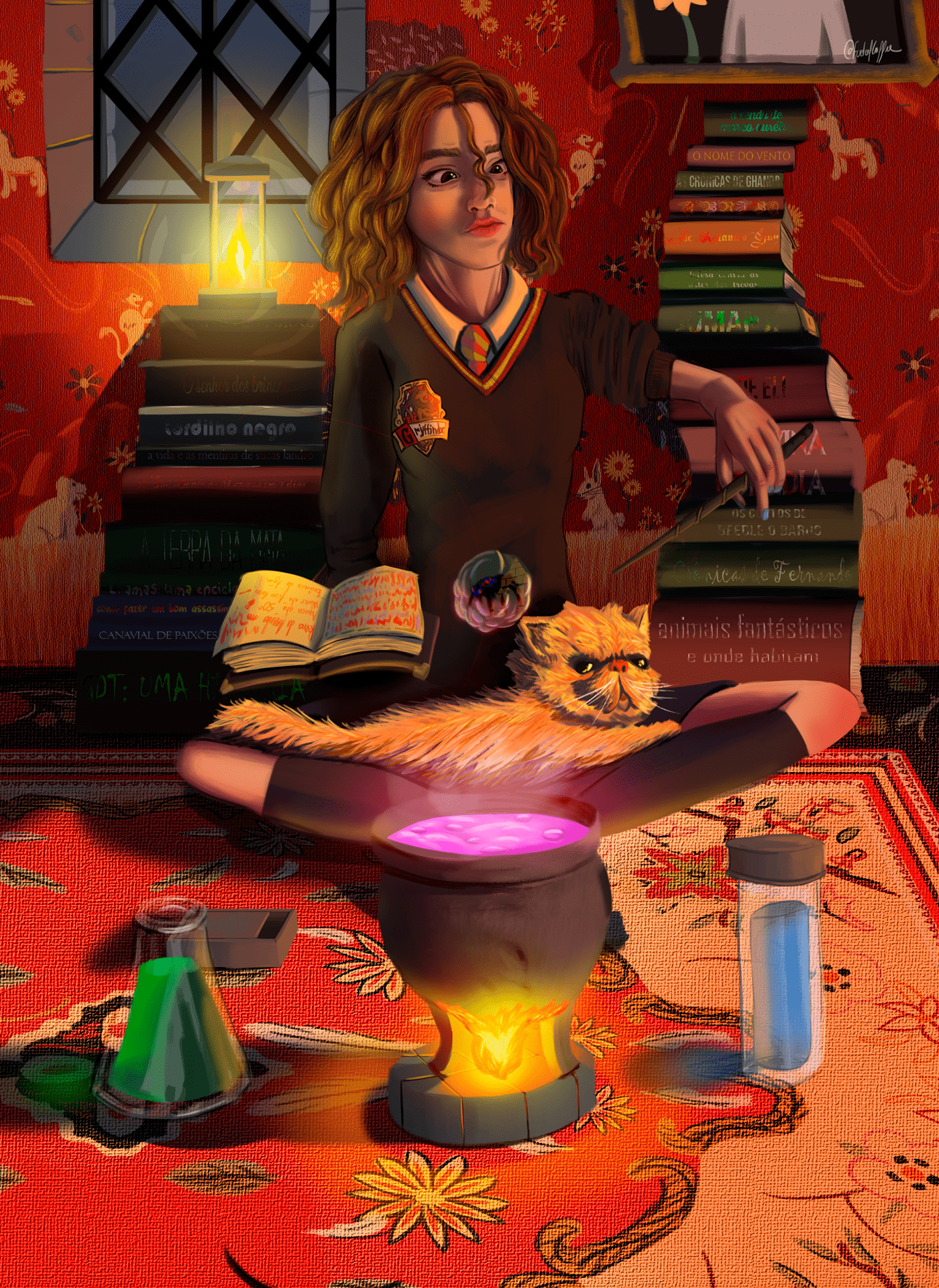 books and potions common room Gryffindor harry potter hermione ILLUSTRATION 